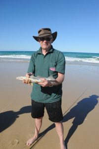 Stonker whiting - Beach fishing at Double Island Point